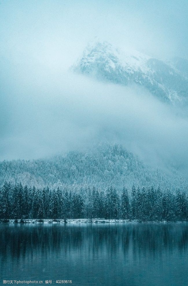 湖景雾森林图片