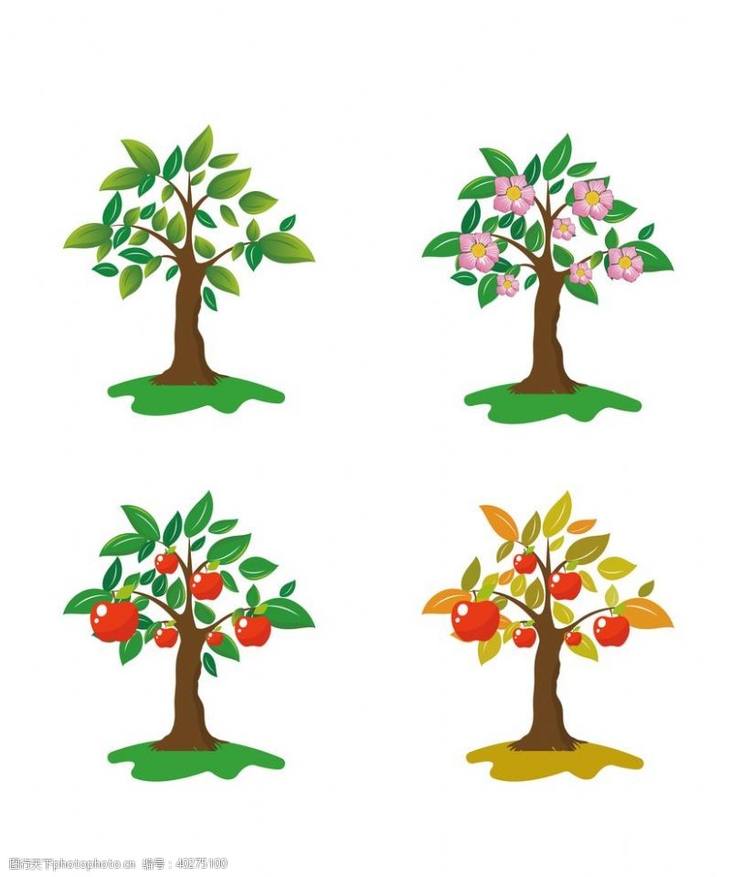 插图一组手绘的苹果树图片