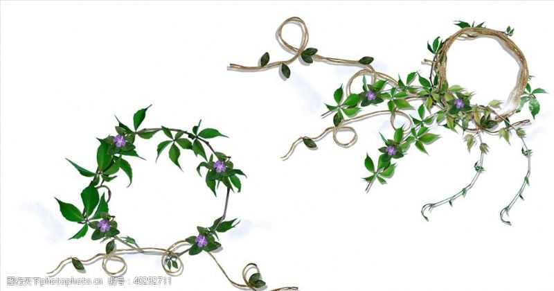 png免抠素材植物装饰边框png图片