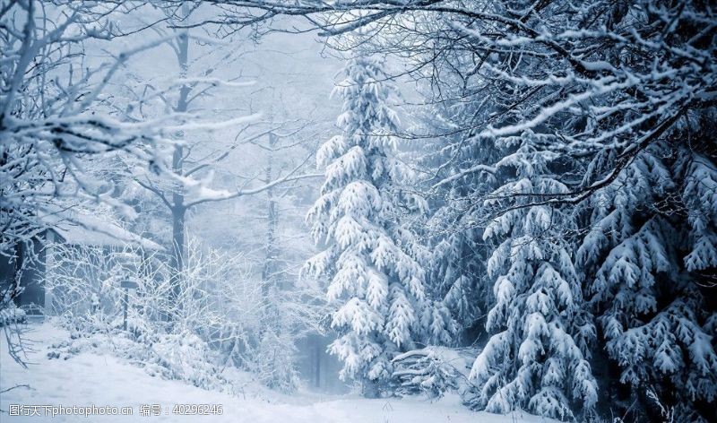 风景冬日雪景图片