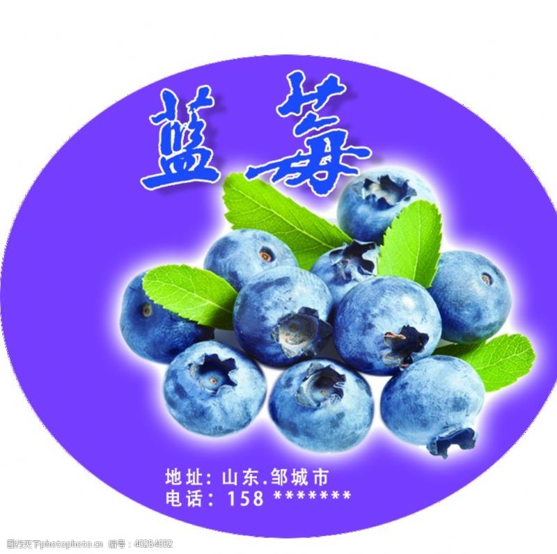 包装设计蓝莓图片