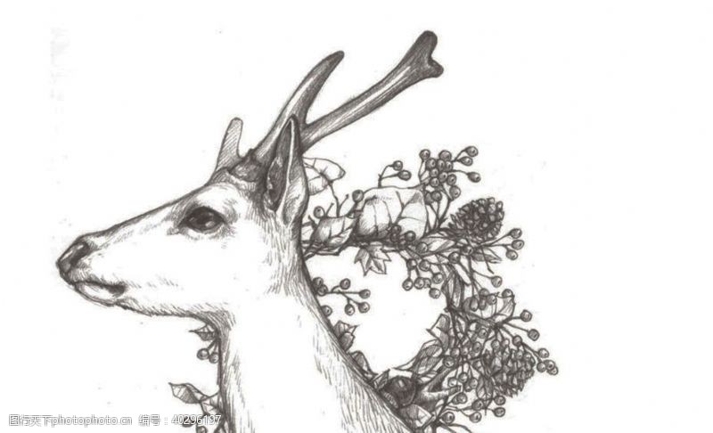 梅花手绘鹿元素图片