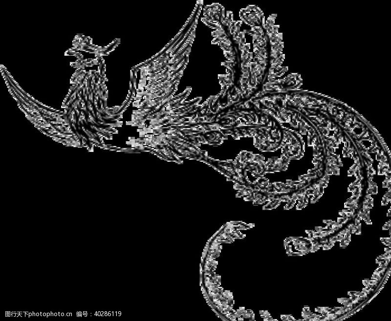中国剪纸手绘水彩凤凰图片