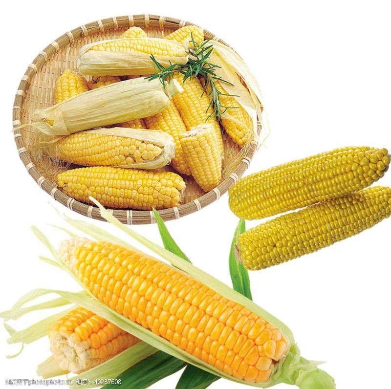 杂粮玉米图片