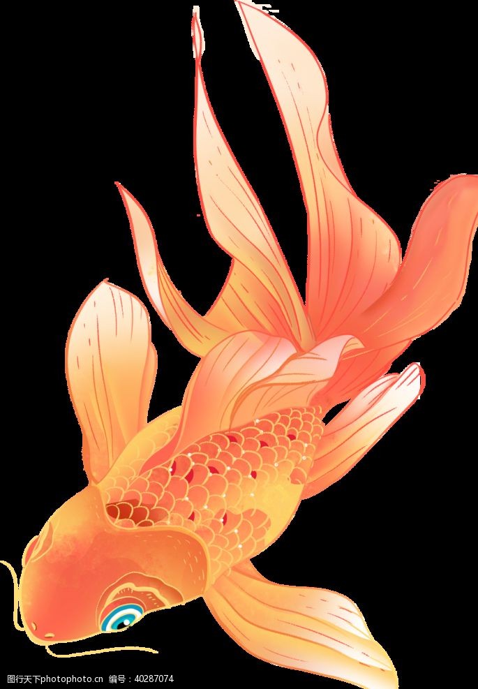 鼠绘花中国风鲤鱼图片