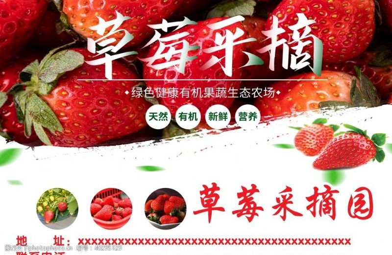 水果店海报草莓采摘园图片