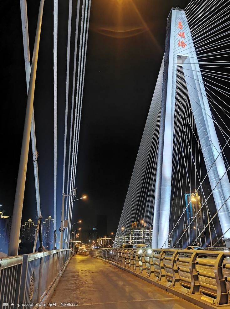 风景武汉月湖桥夜景图片